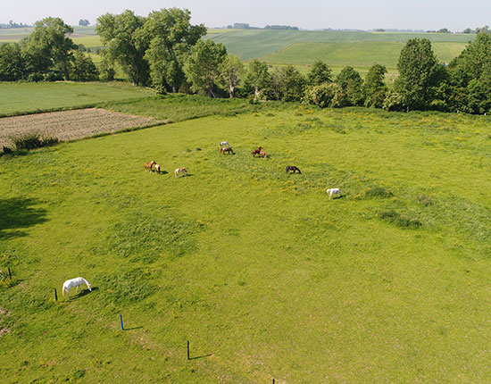 Equitation dans le Hainaut