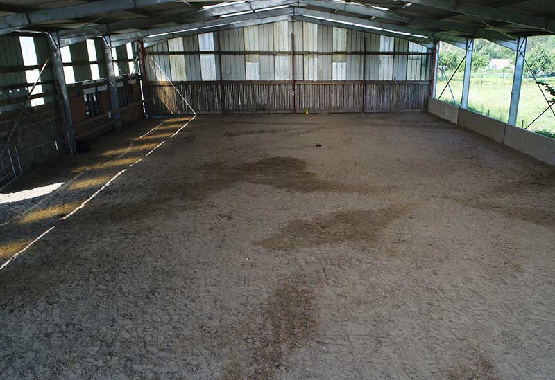 Debourrage de cheval a baisieux dans le Hainaut