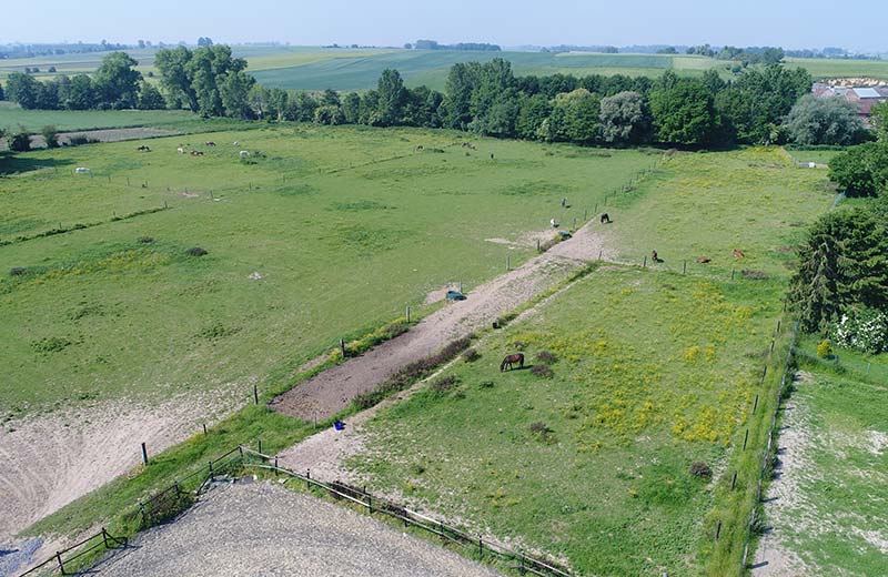 Pension et Garde de chevaux a Baisieux dans le Hainaut